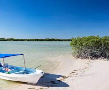 Río Lagartos & Las Coloradas: Guided Tour, Lunch with Drinks + Transfer